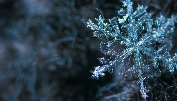 a close up of a snowflake